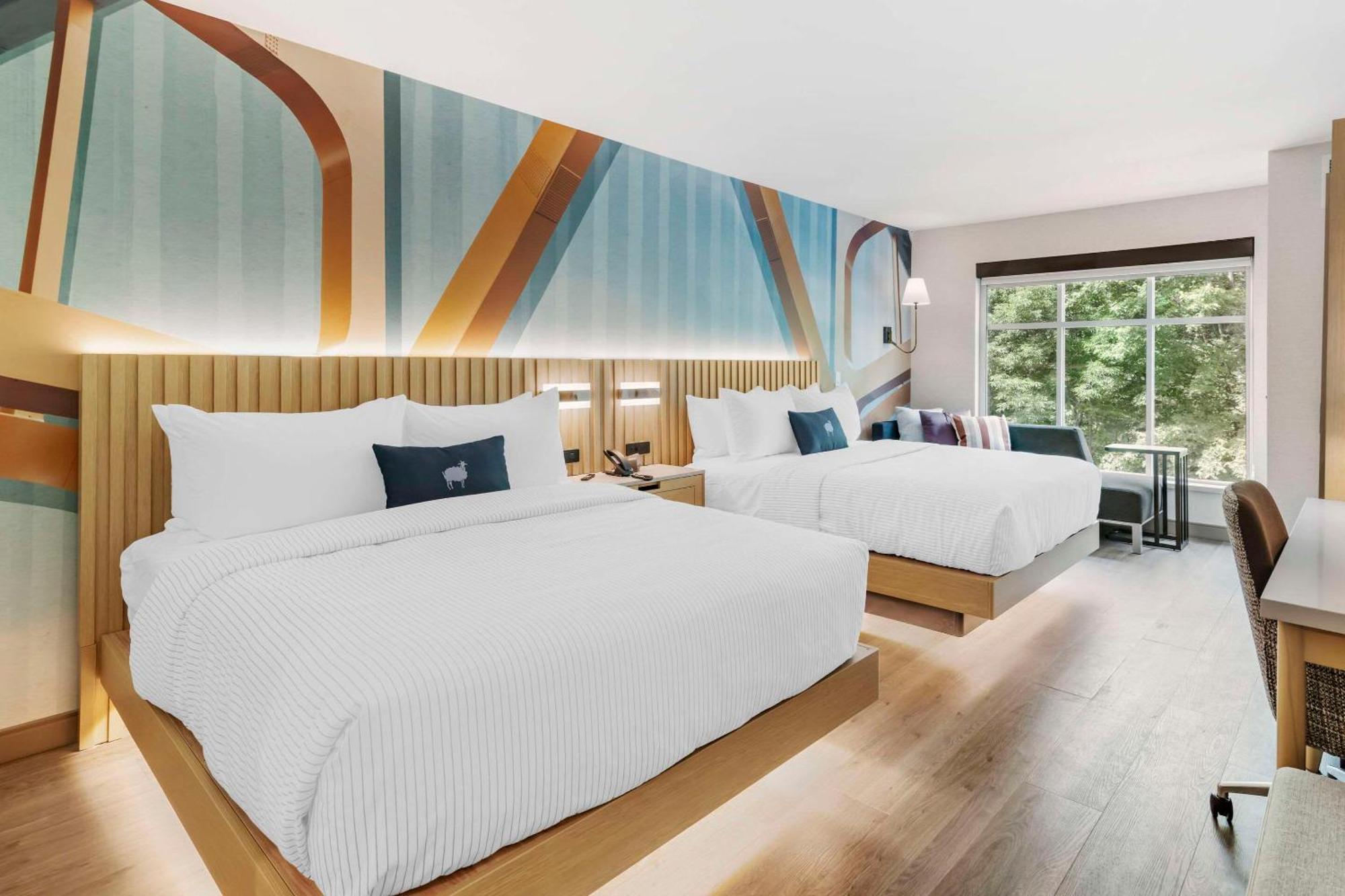 Cambria Hotel Норт-Конвей Екстер'єр фото
